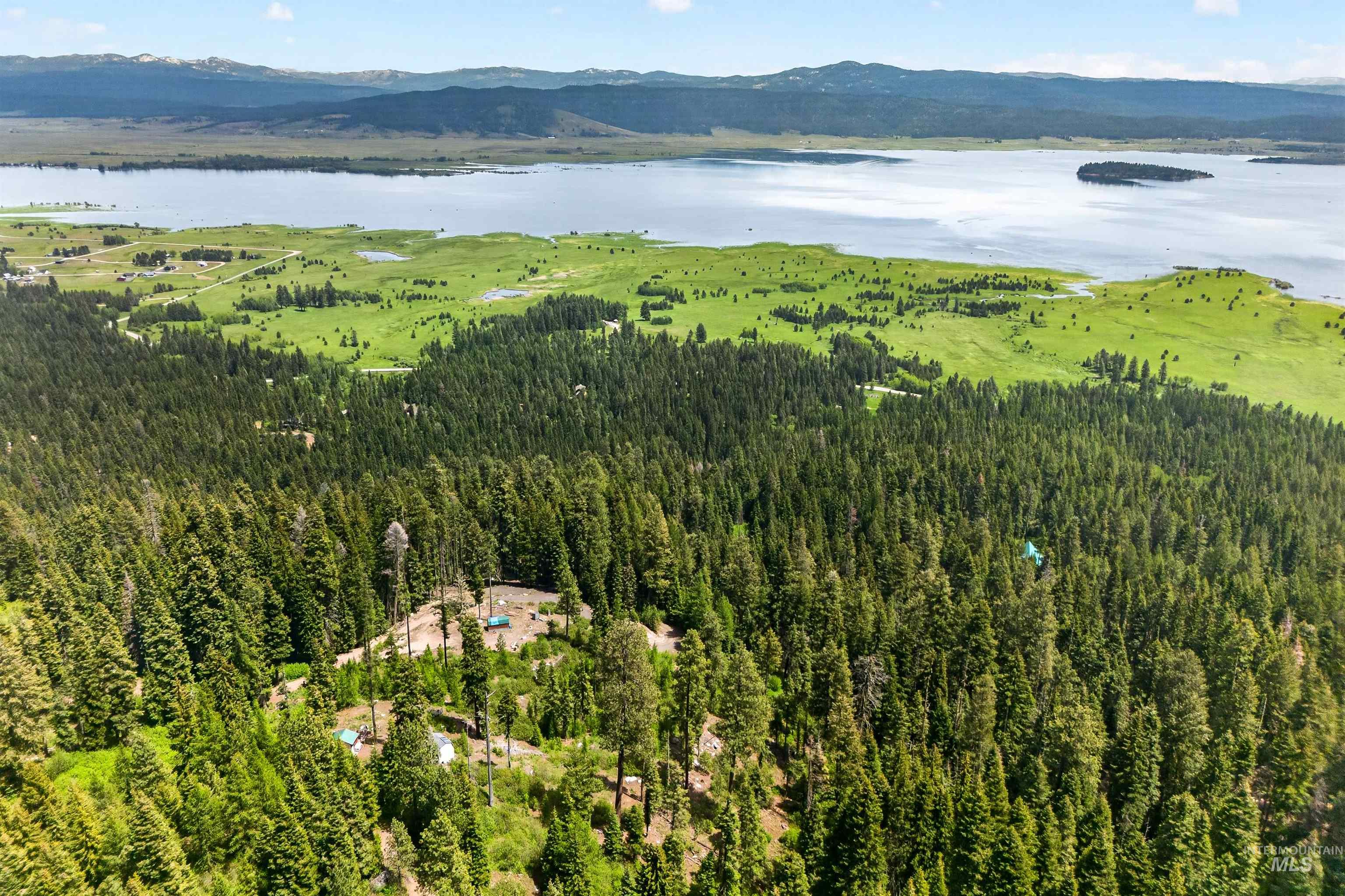 Expansive forested landscape with distant lake and mountain scenery