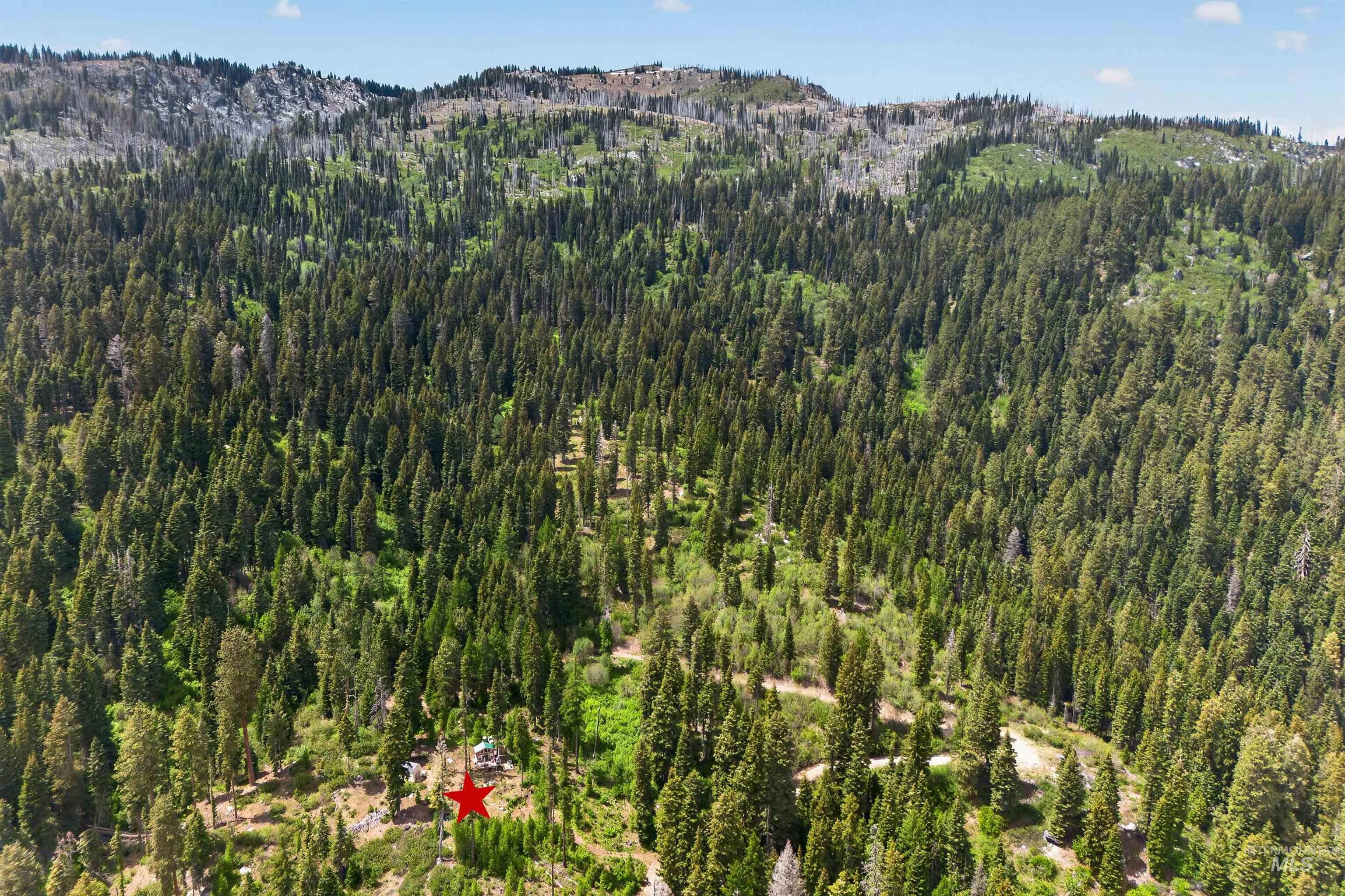 Mountain landscape featuring dense evergreen forests and rugged terrain