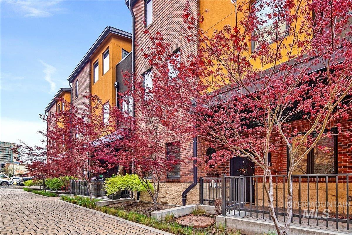 611 S 8th Street, Unit 11