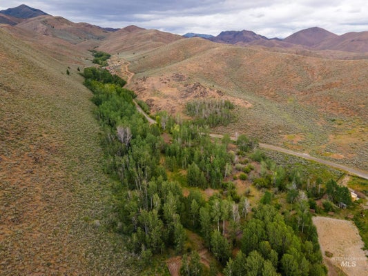 135 BULLION GULCH RD, HAILEY, ID 83333 - Image 3bccb7905abfc77a61125d9c0f6bd196/2439264049