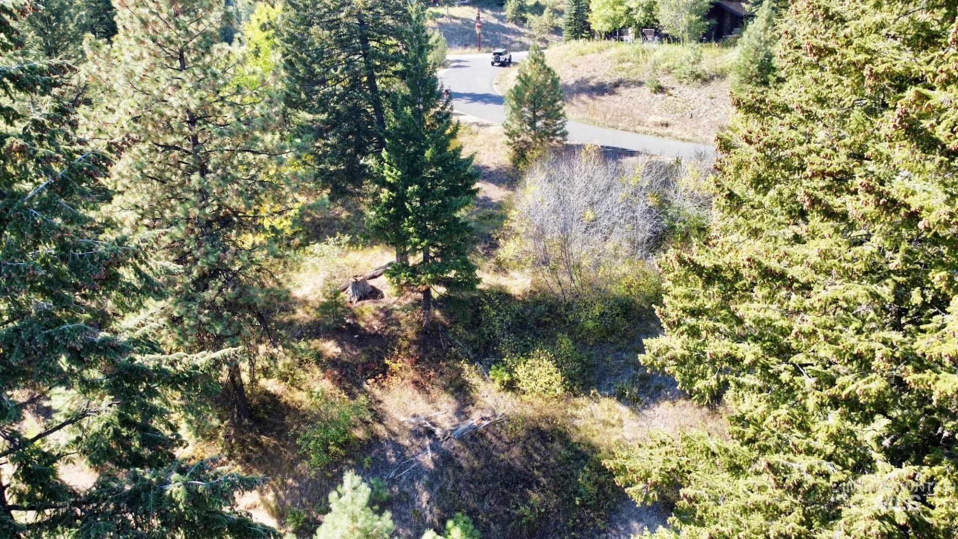 Aerial view of property's location