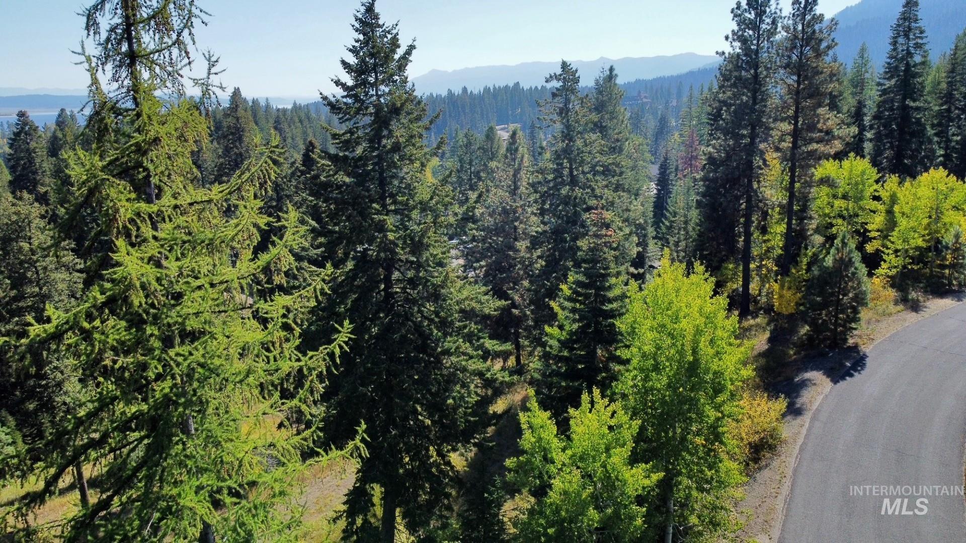View of mountain background featuring a forest