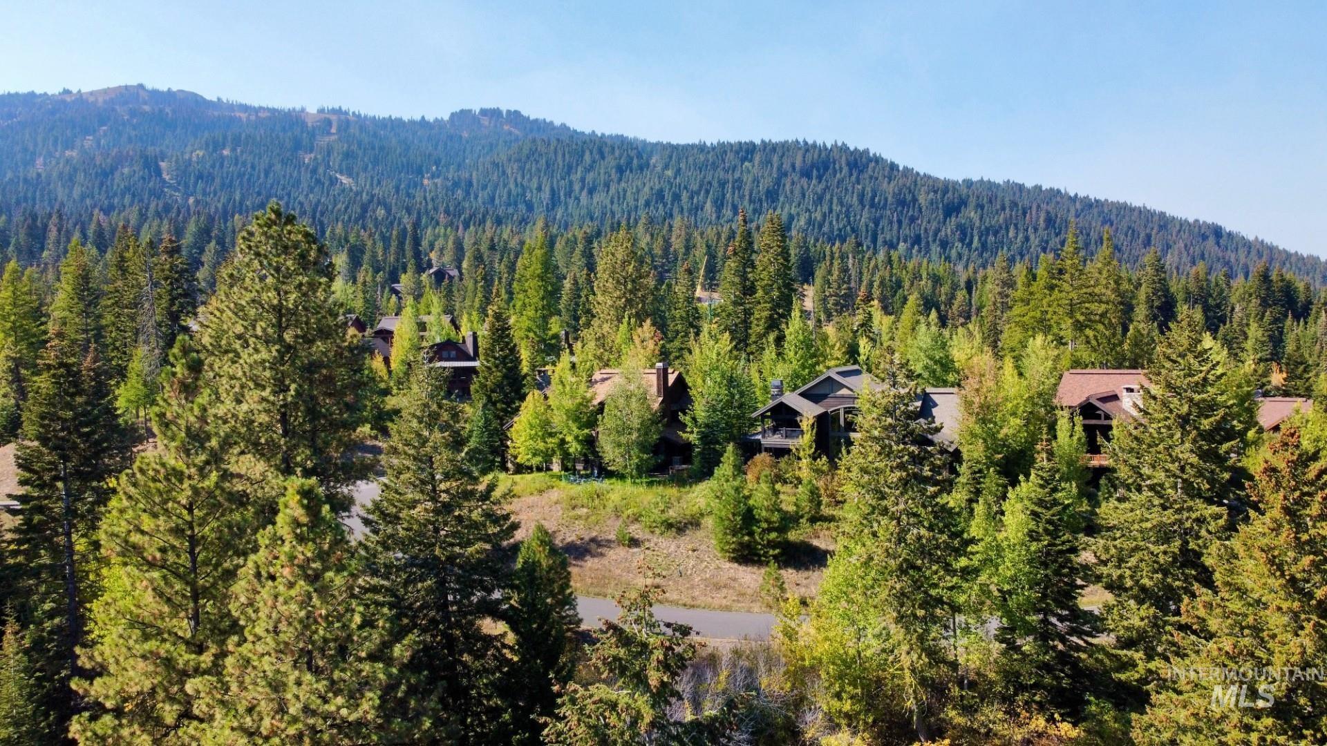 Aerial view of a heavily wooded area and a mountainous background