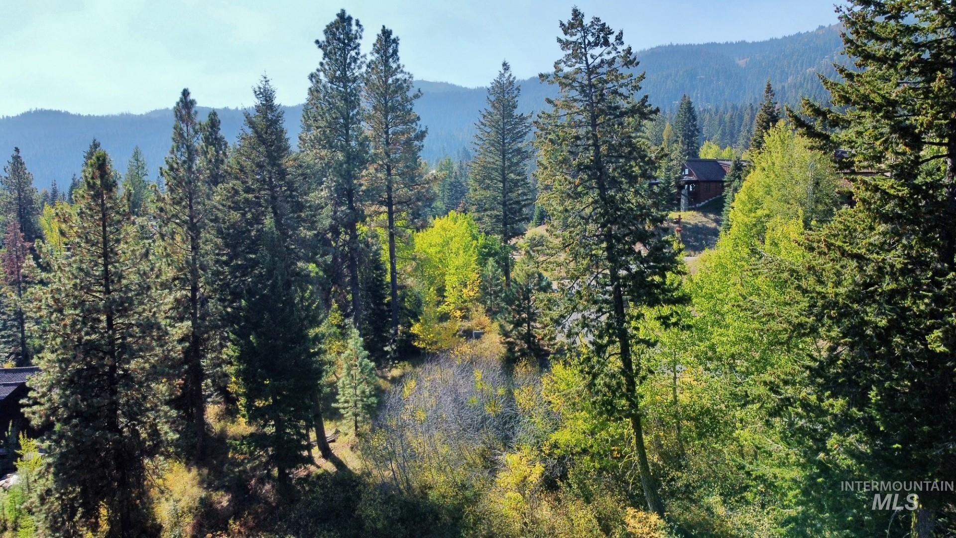 Mountain view with a heavily wooded area