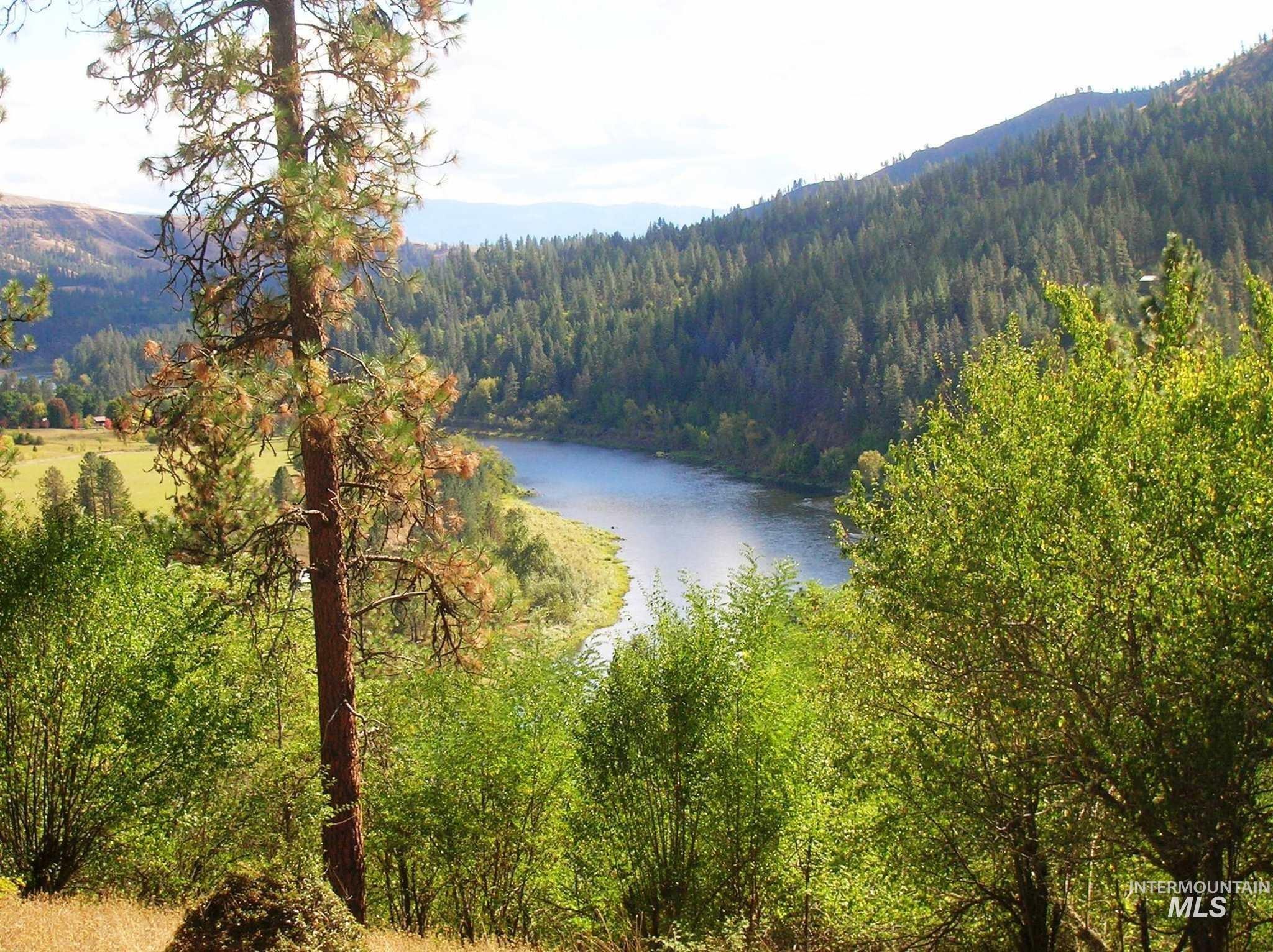 Water view with a forest and a mountain backdrop