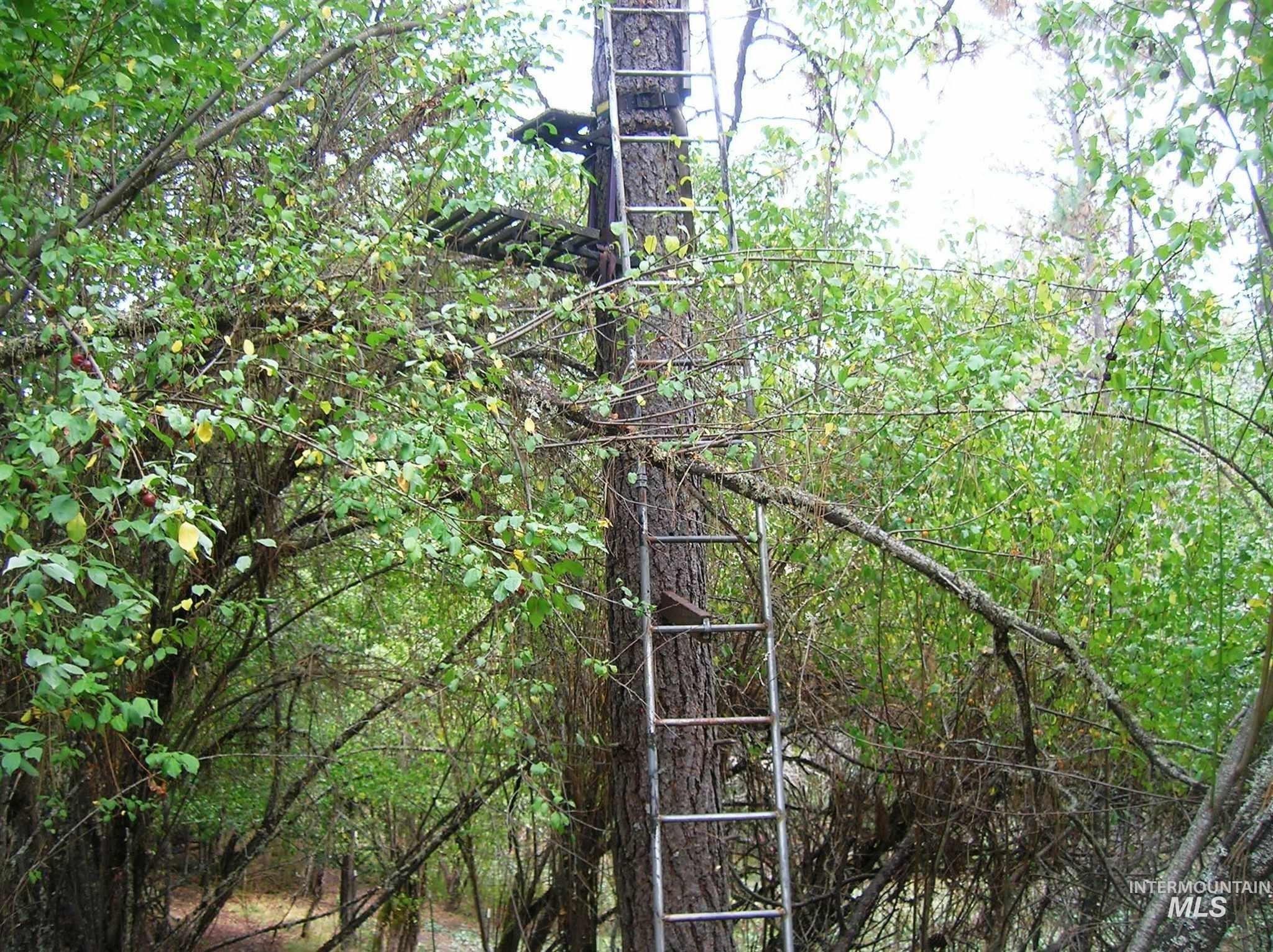 View of undeveloped land