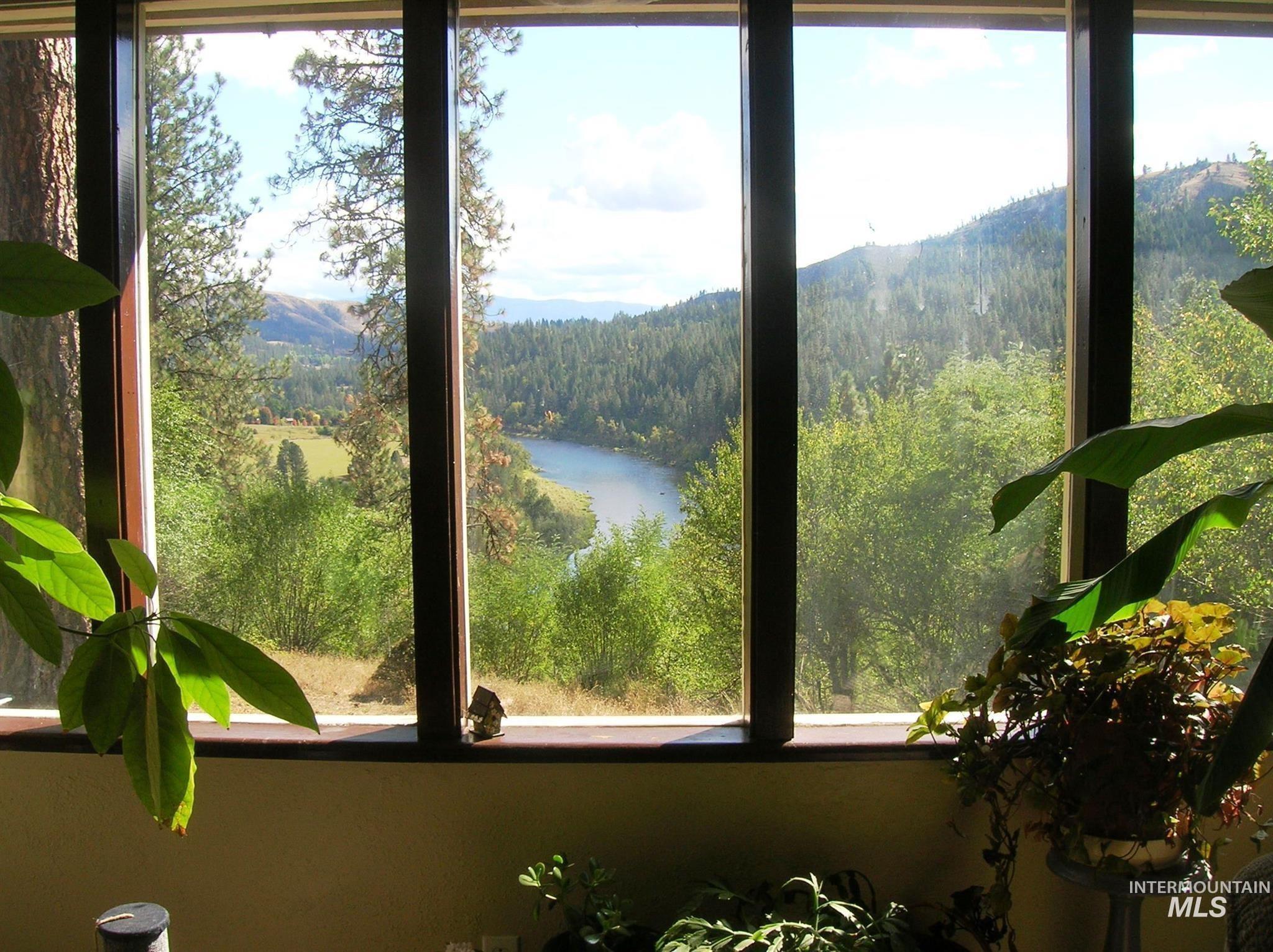 Living featuring a water view and a forest view
