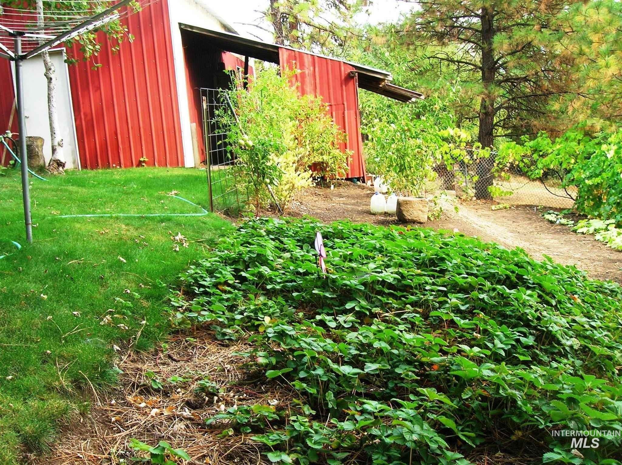 View of yard featuring an outbuilding