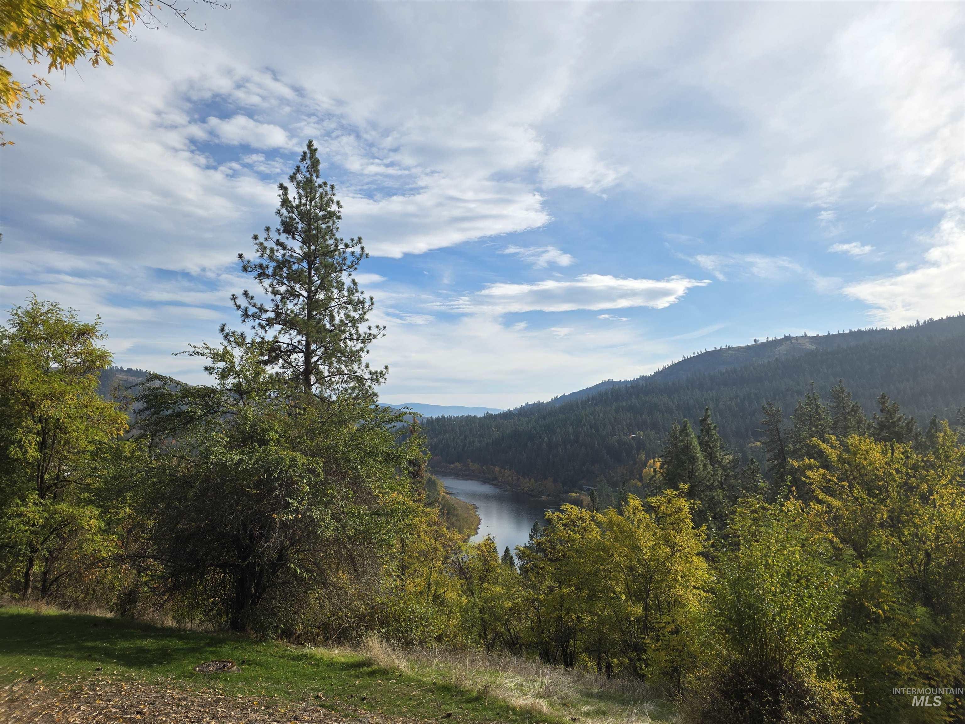 View of mountain background featuring a forest and a nearby body of water