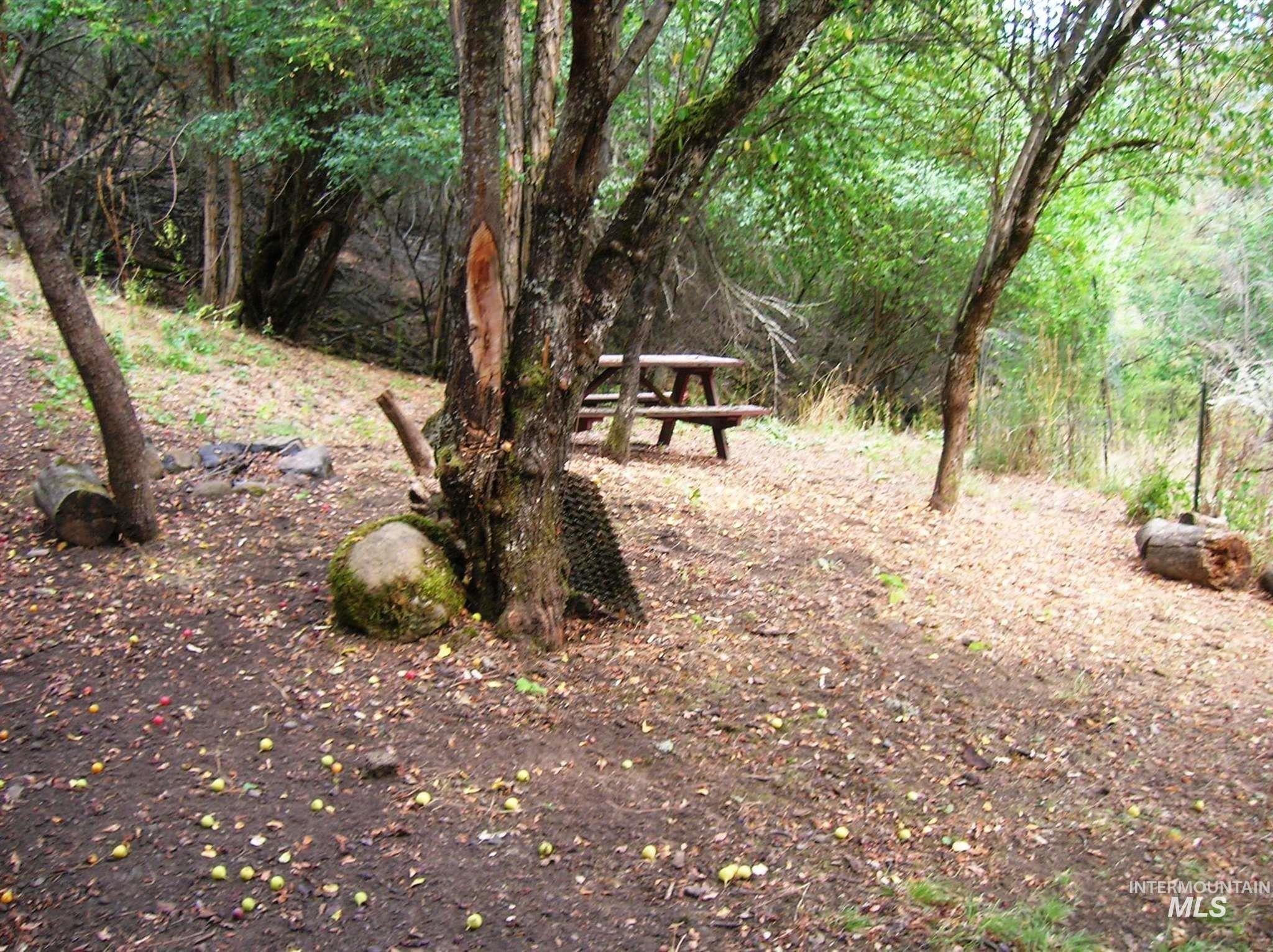 View of yard featuring a wooded view