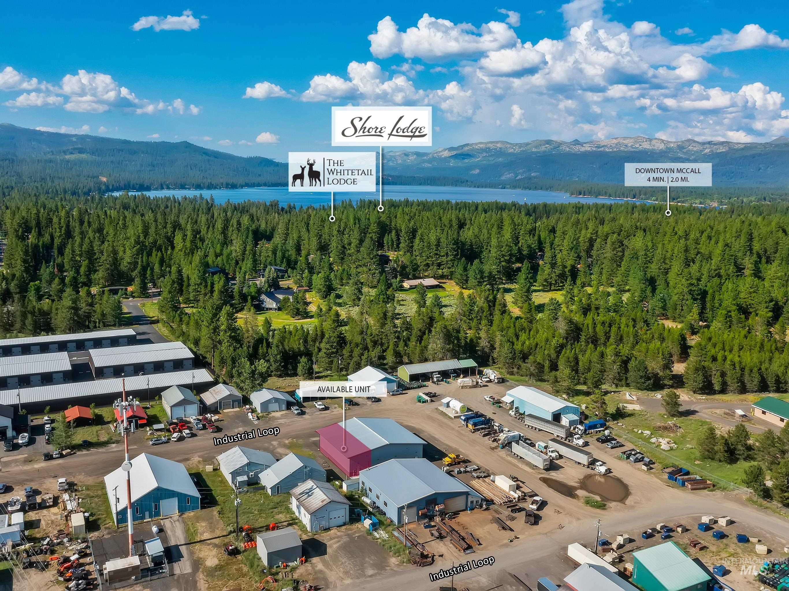 Drone / aerial view of a forest and a mountainous background