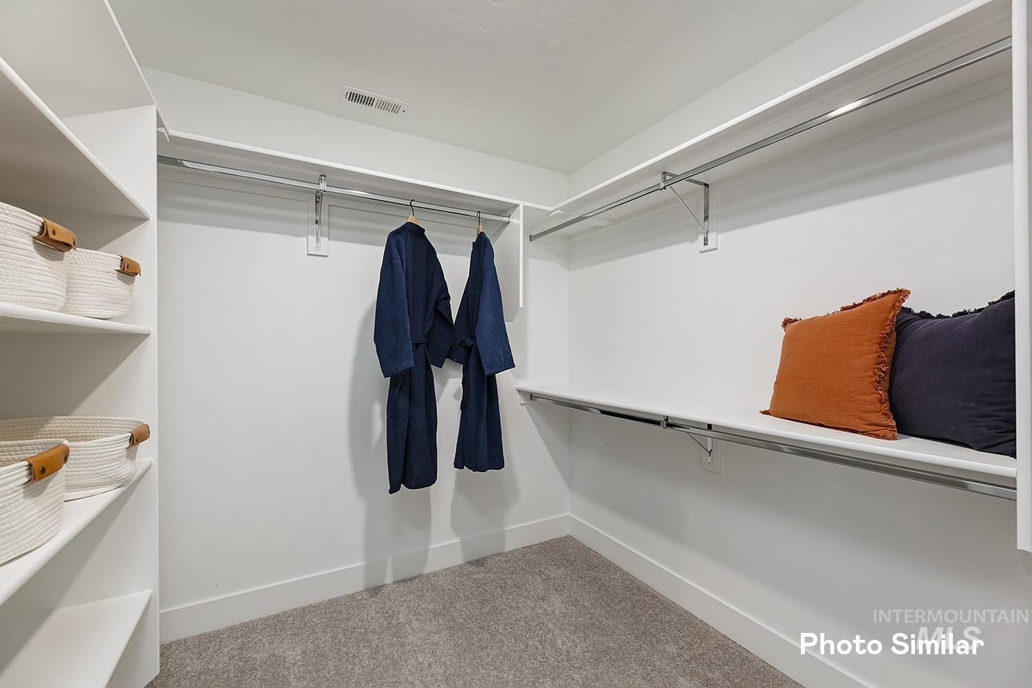 Spacious closet featuring light carpet