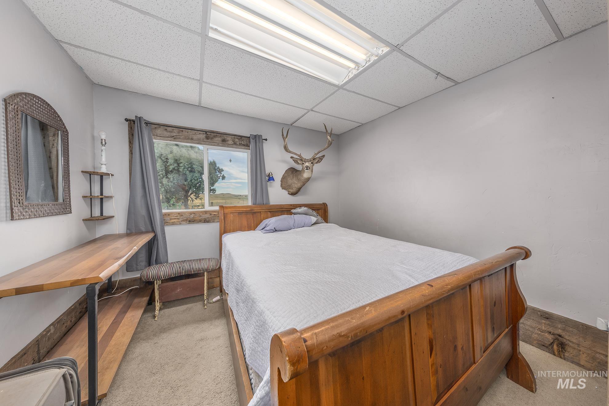 Bedroom featuring carpet and a paneled ceiling