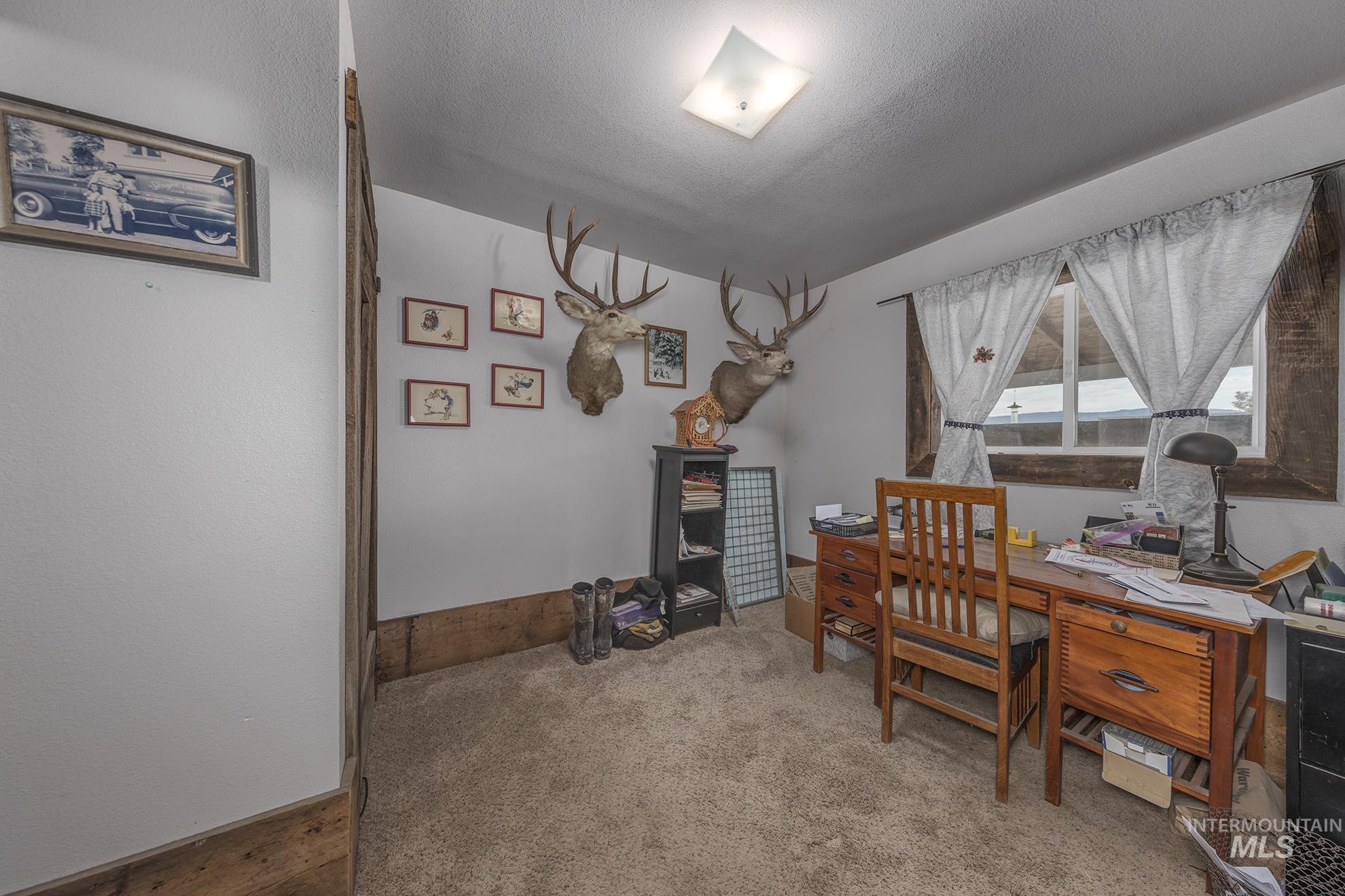 Carpeted office with a textured ceiling