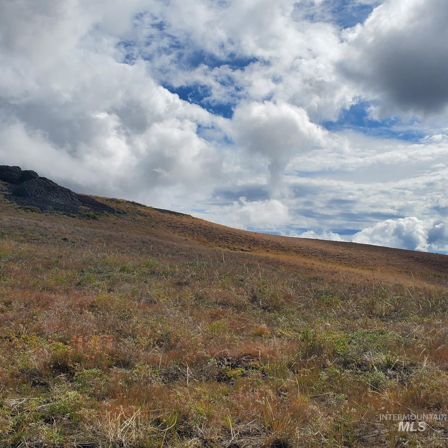 00 Cuddy Mountain Mineral Land