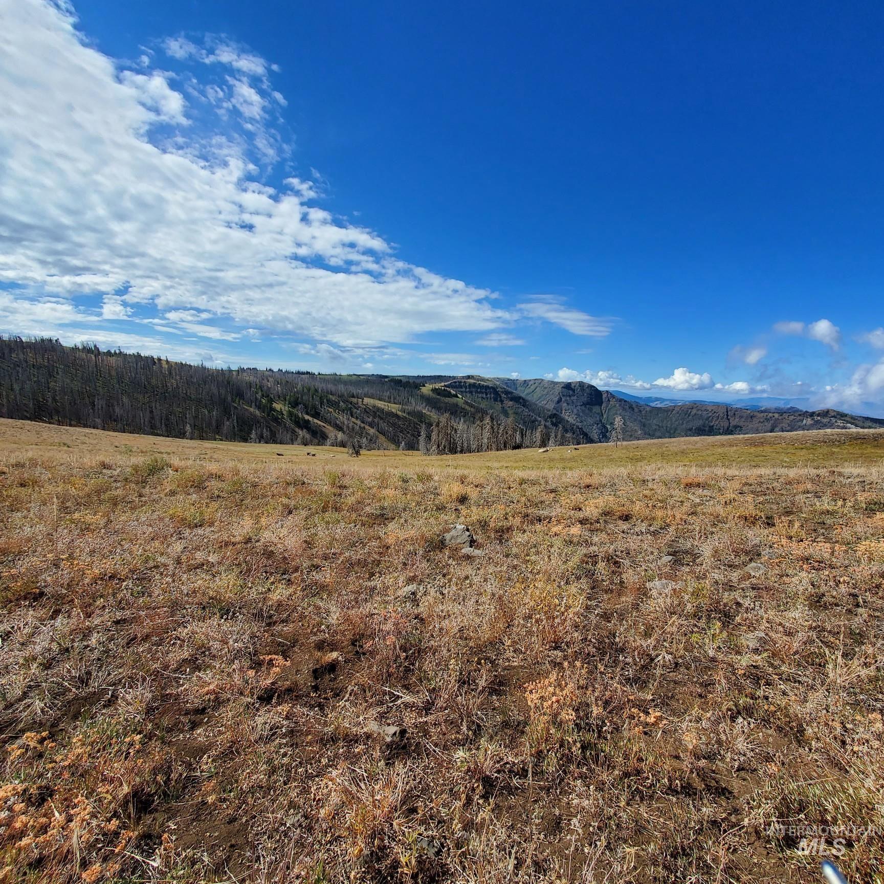 00 Cuddy Mountain Mineral Land