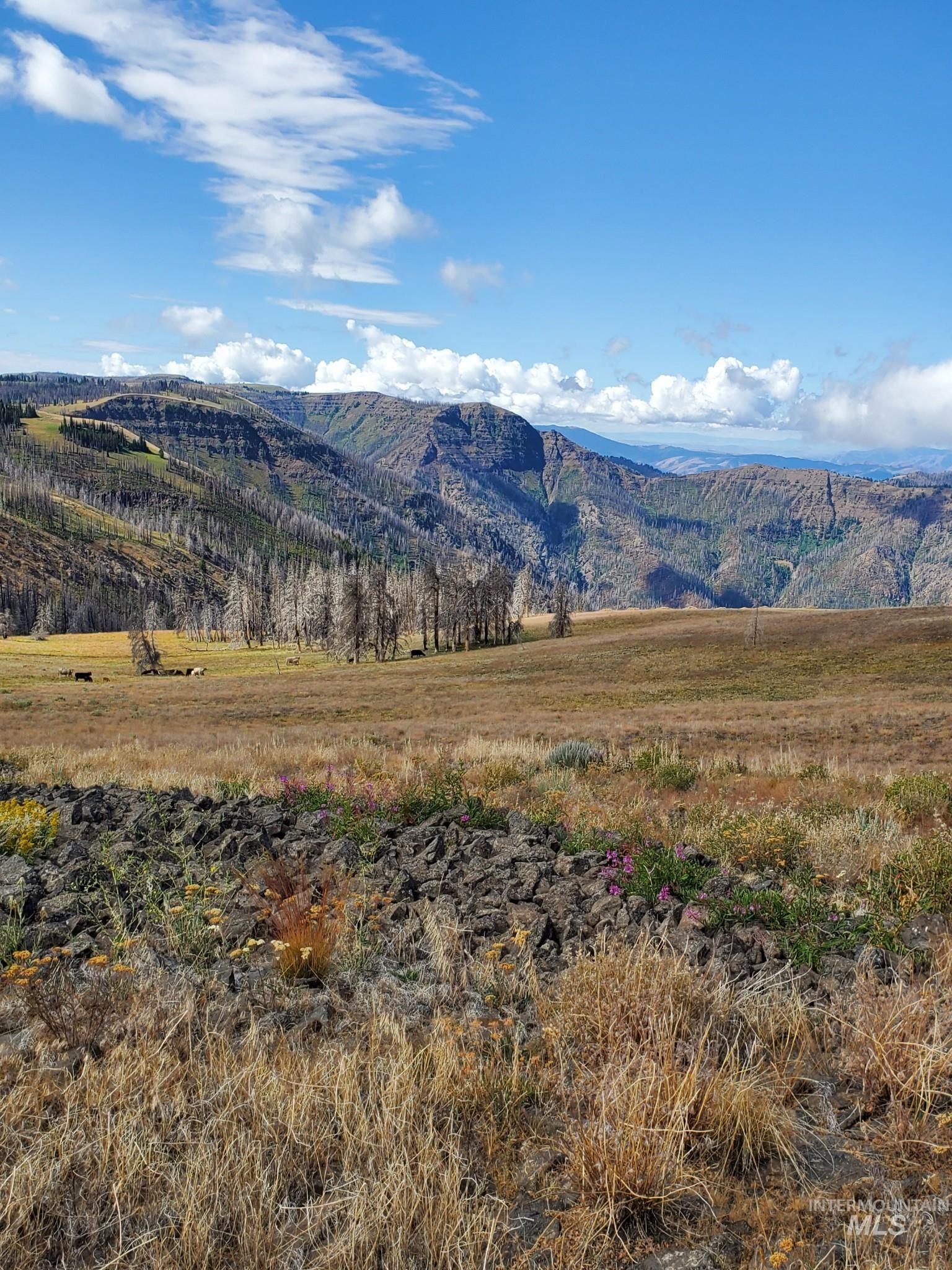 00 Cuddy Mountain Mineral Land