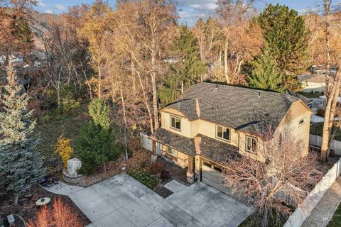 Photo of 3822 W Magnolia Lane, Boise, ID 83703 (MLS # 98968060)