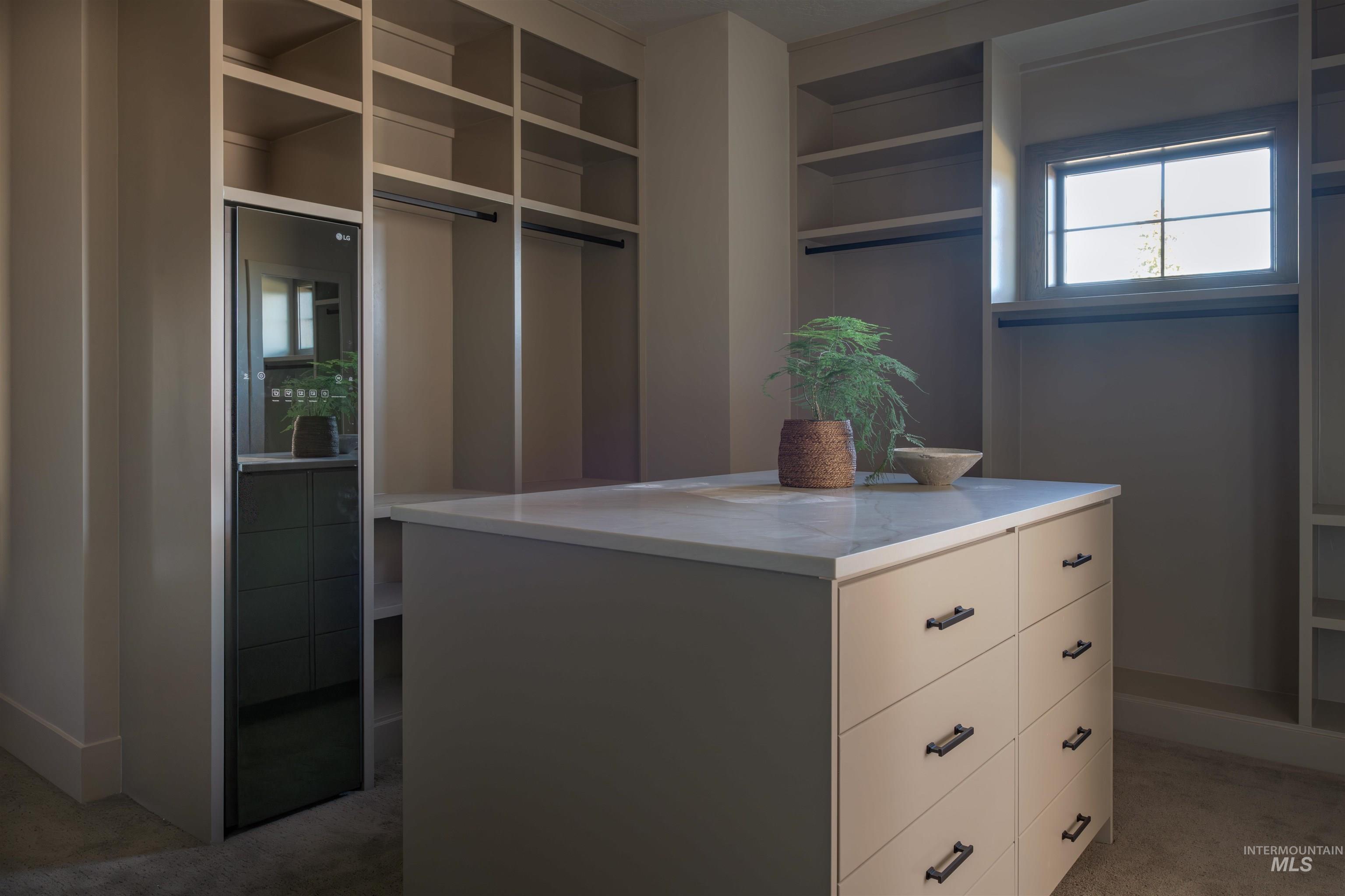 Walk in closet with light colored carpet