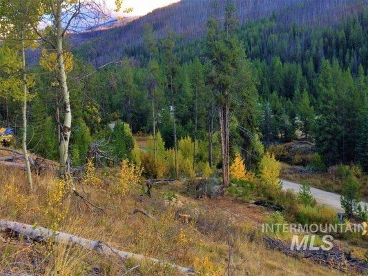 1.38 AC MAIN STREET, WARREN, ID 83671 - Image 3e6c3d7194fc2b29fe6226f33d1741b8/1809051749