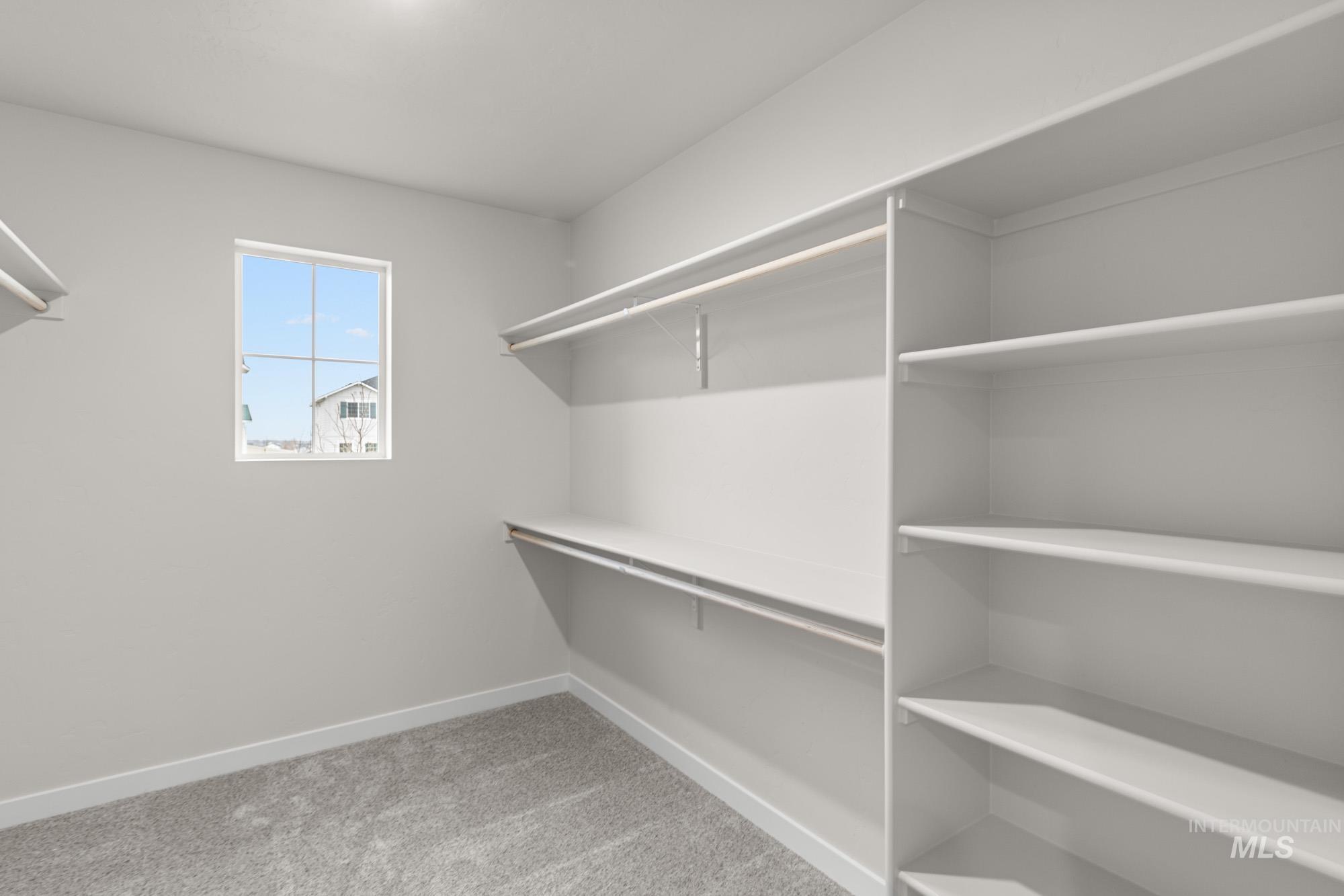 Spacious closet featuring light colored carpet