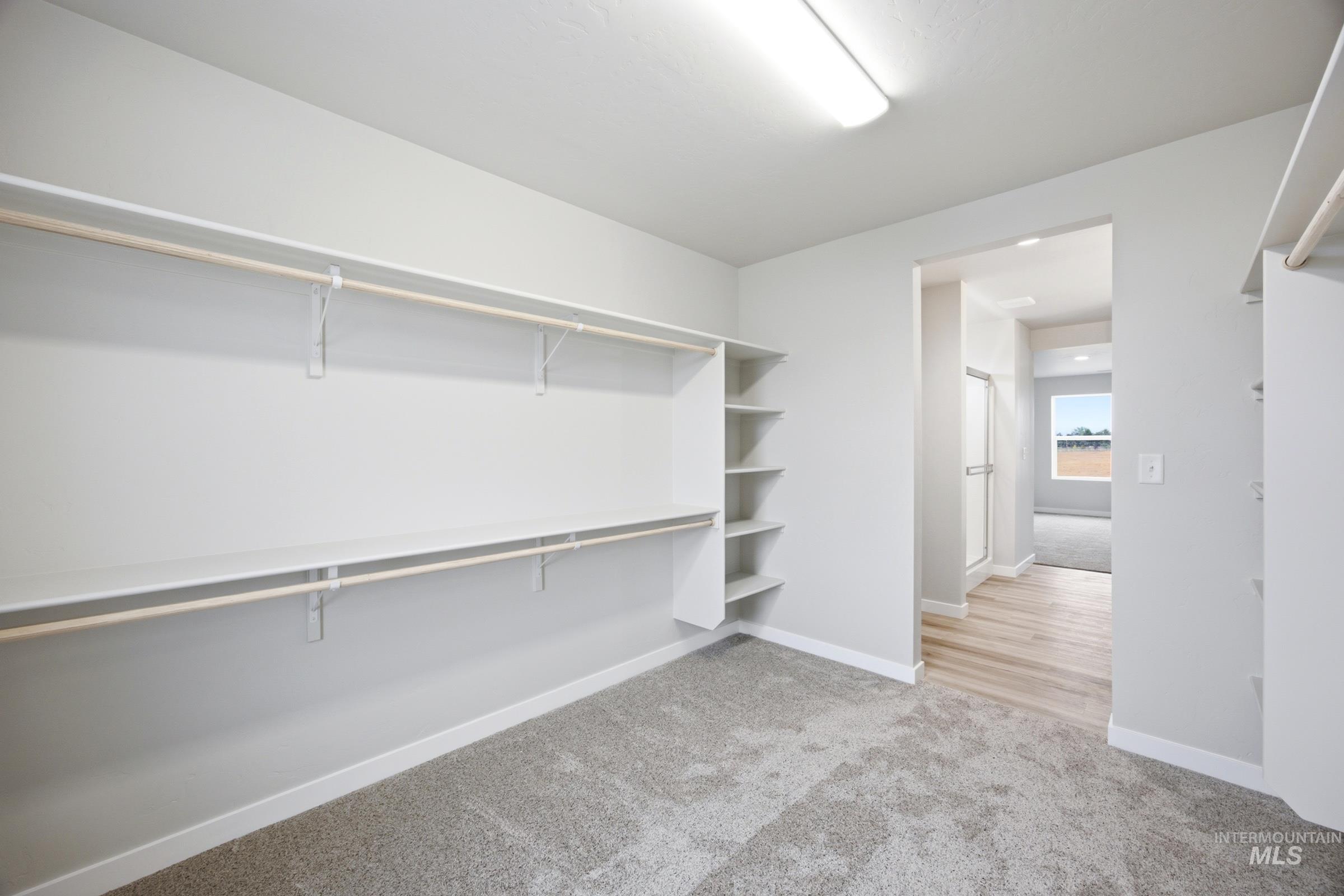 Spacious walk-in closet featuring built-in shelving, multiple hanging rods, light gray wall paint, and gray carpet flooring