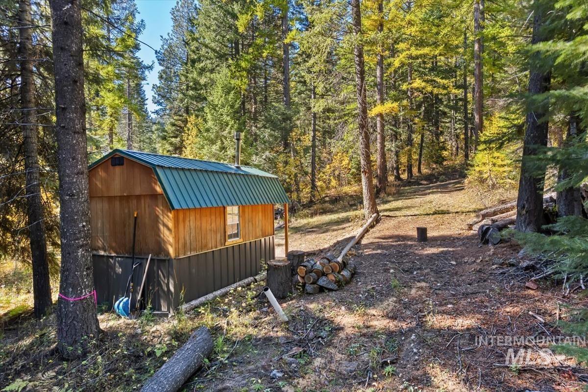 View of yard with a storage shed and a forest view