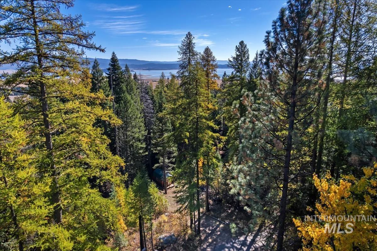 View of mountain backdrop featuring a heavily wooded area