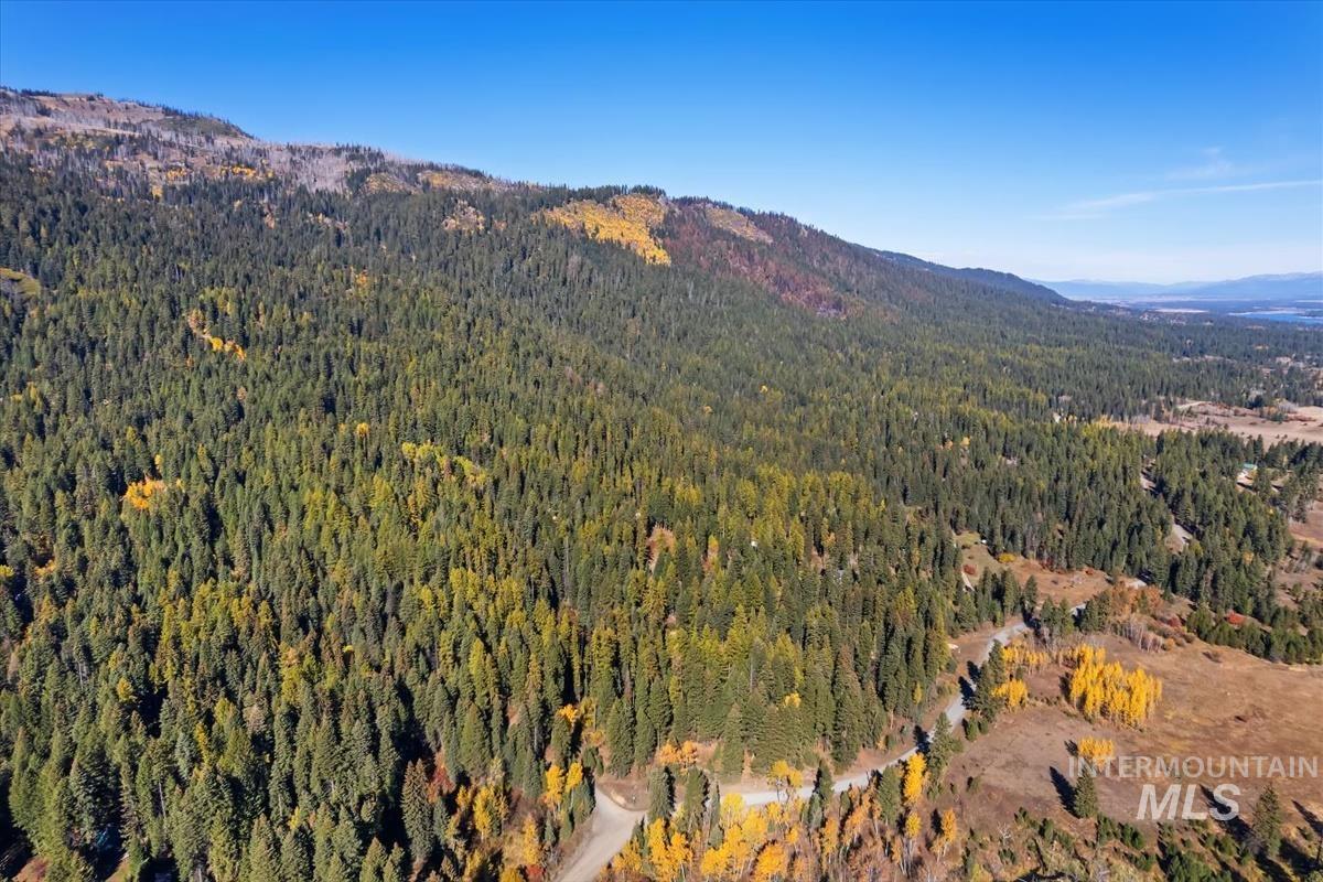 Mountain view featuring a forest