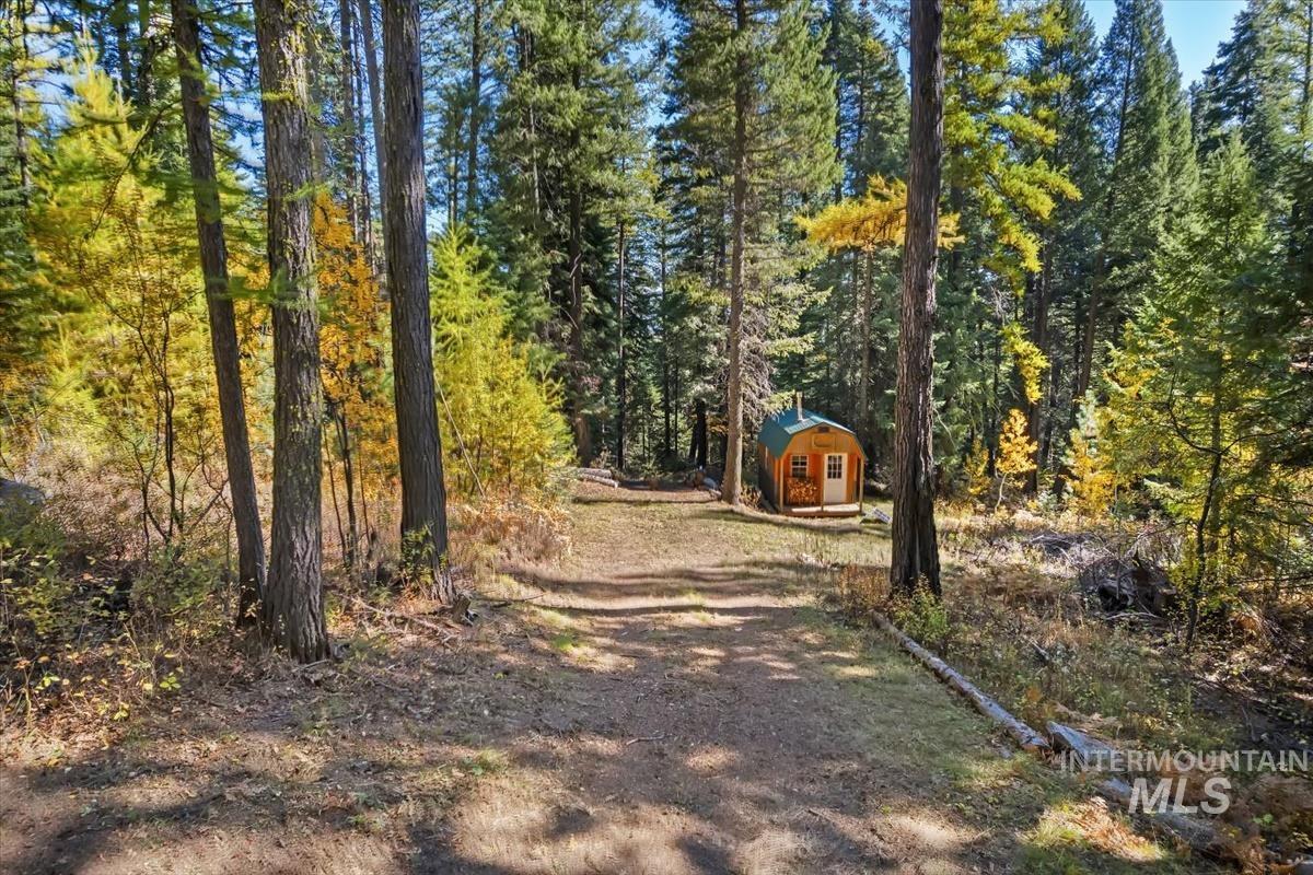 View of dirt / gravel driveway with a forest view