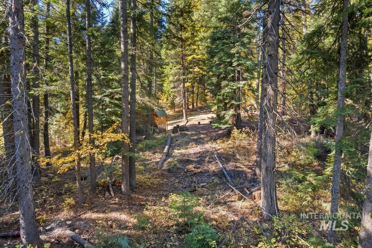 View of woods