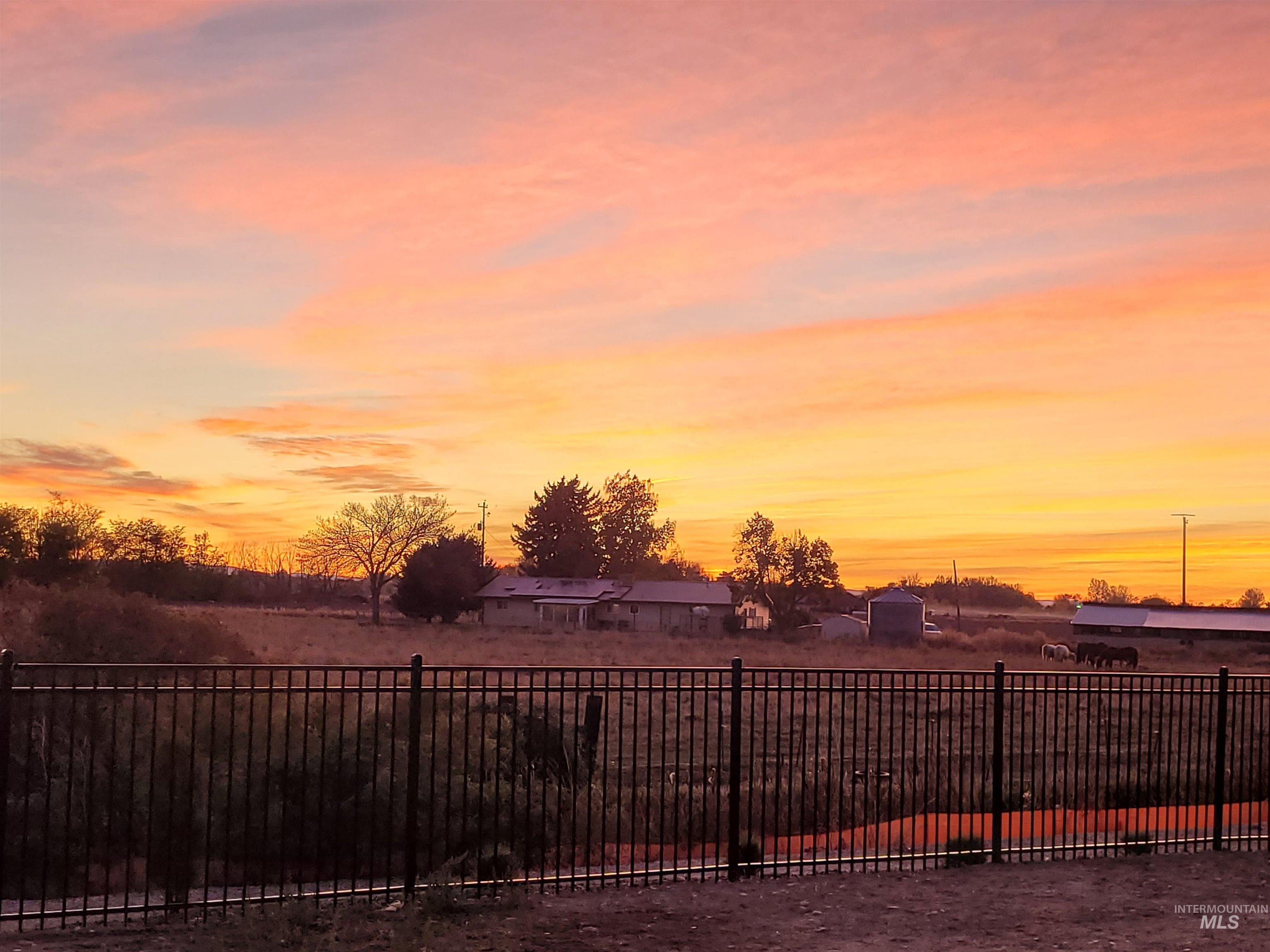 View of yard at dusk