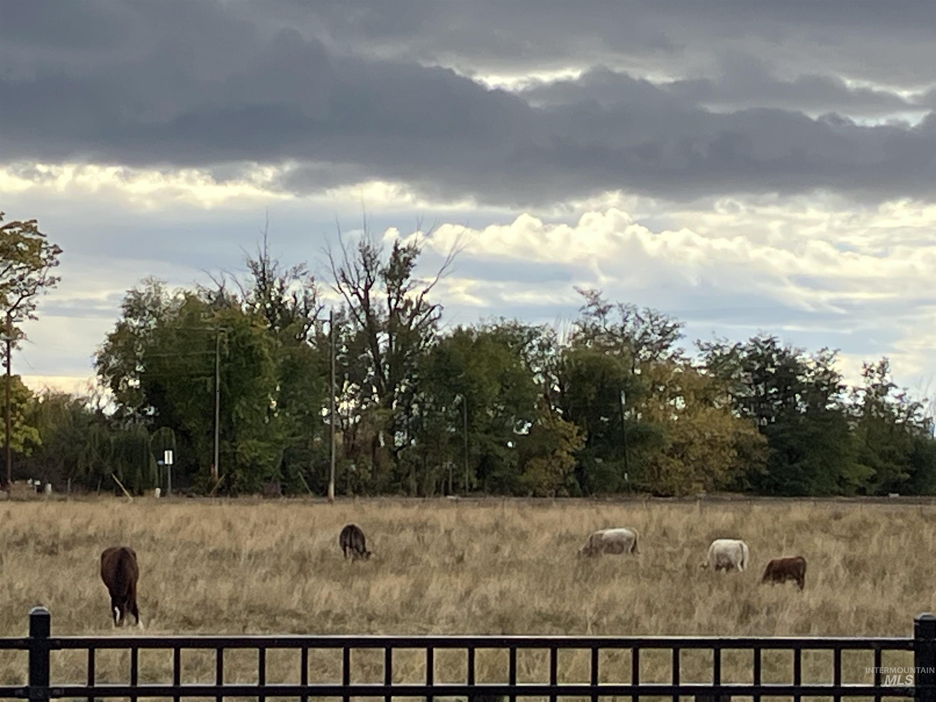 View of undeveloped land featuring rural landscape