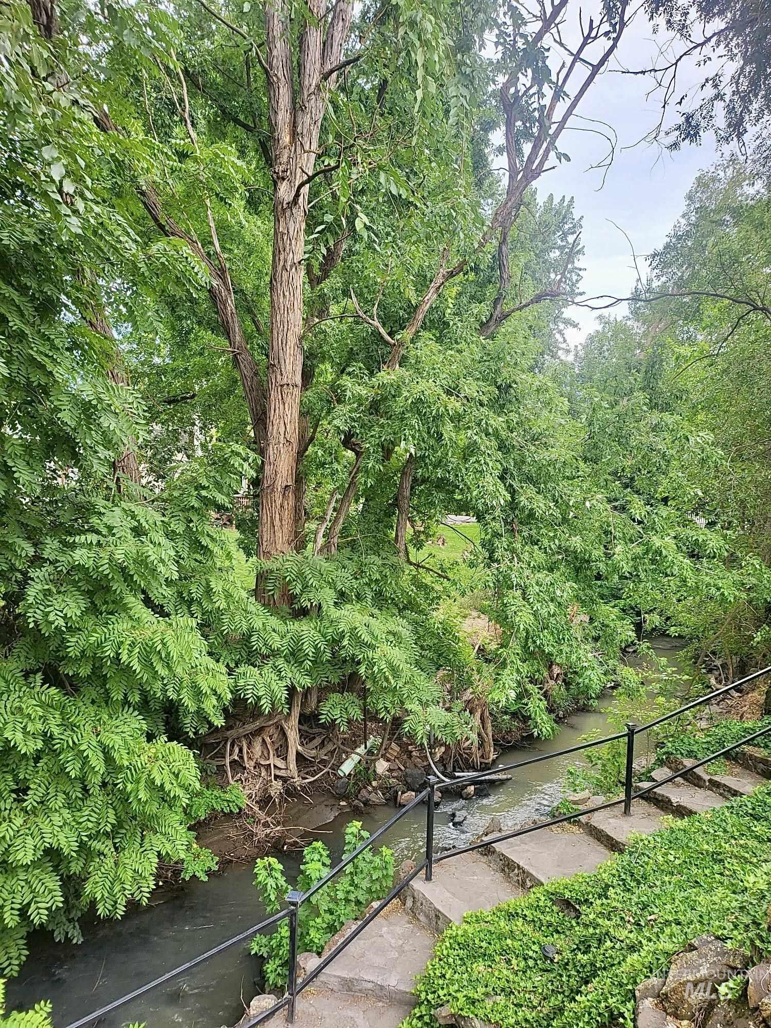 View of steps leading down to creek