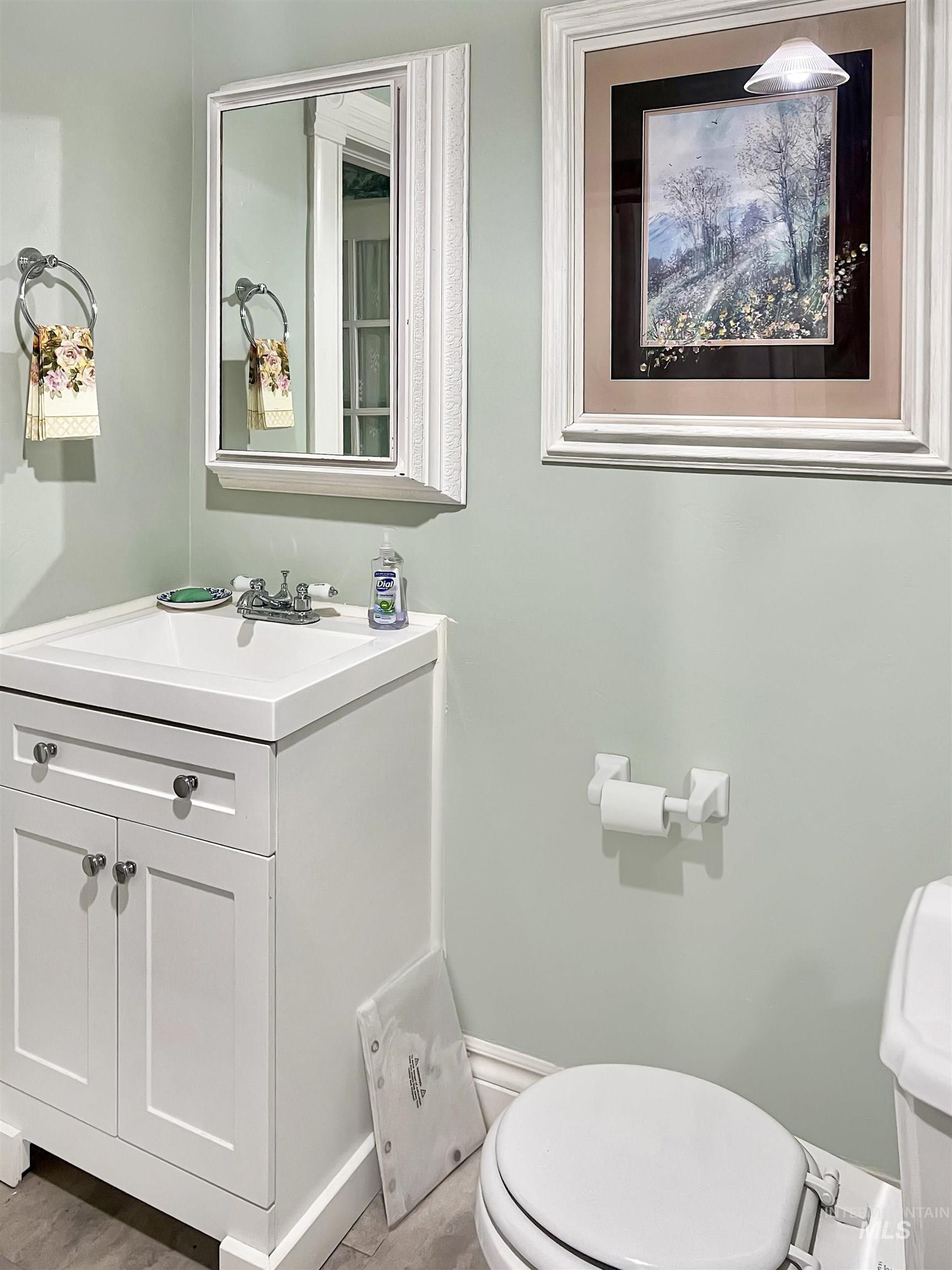 Bathroom with vanity and toilet