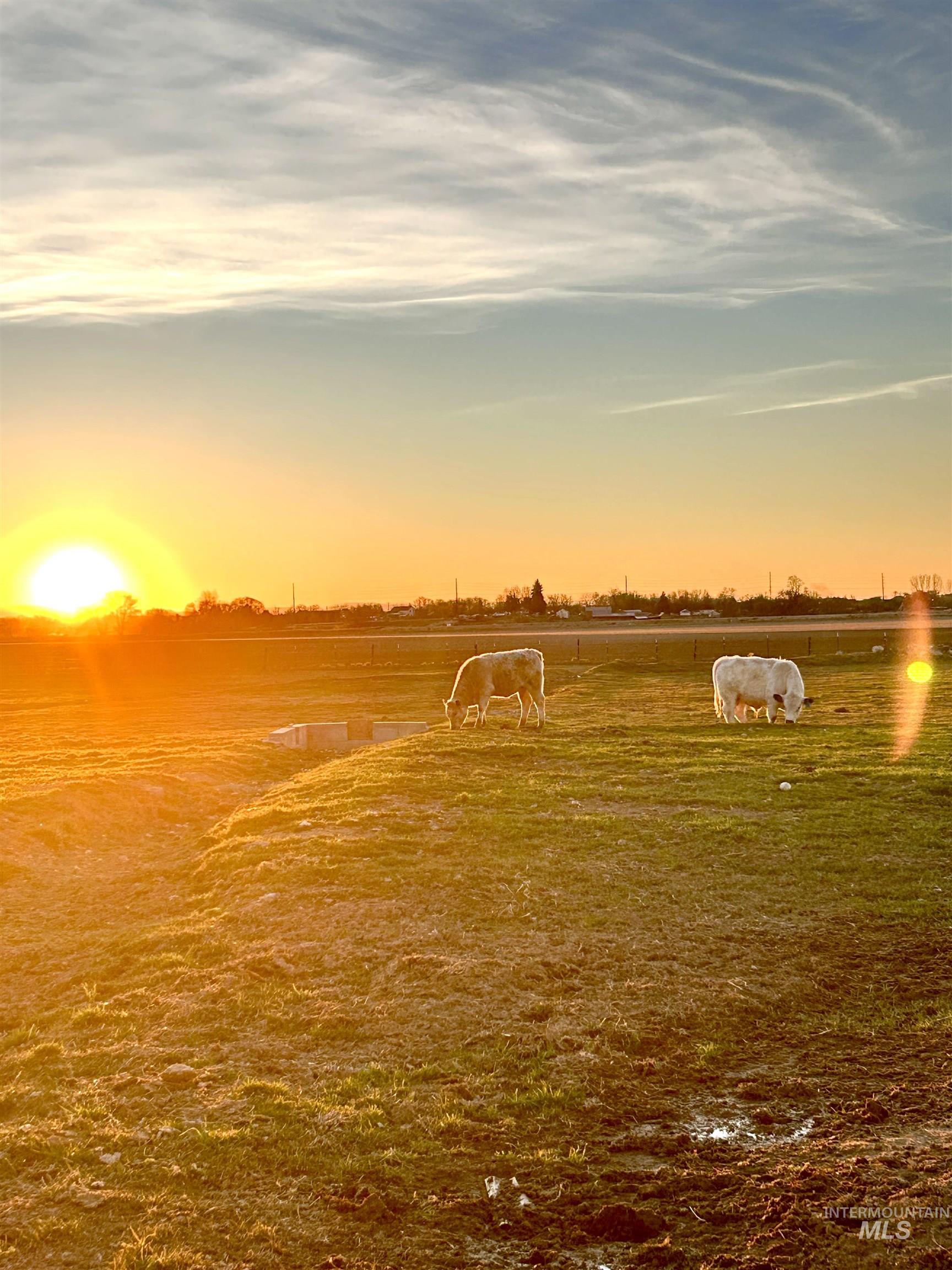 Water view featuring rural landscape