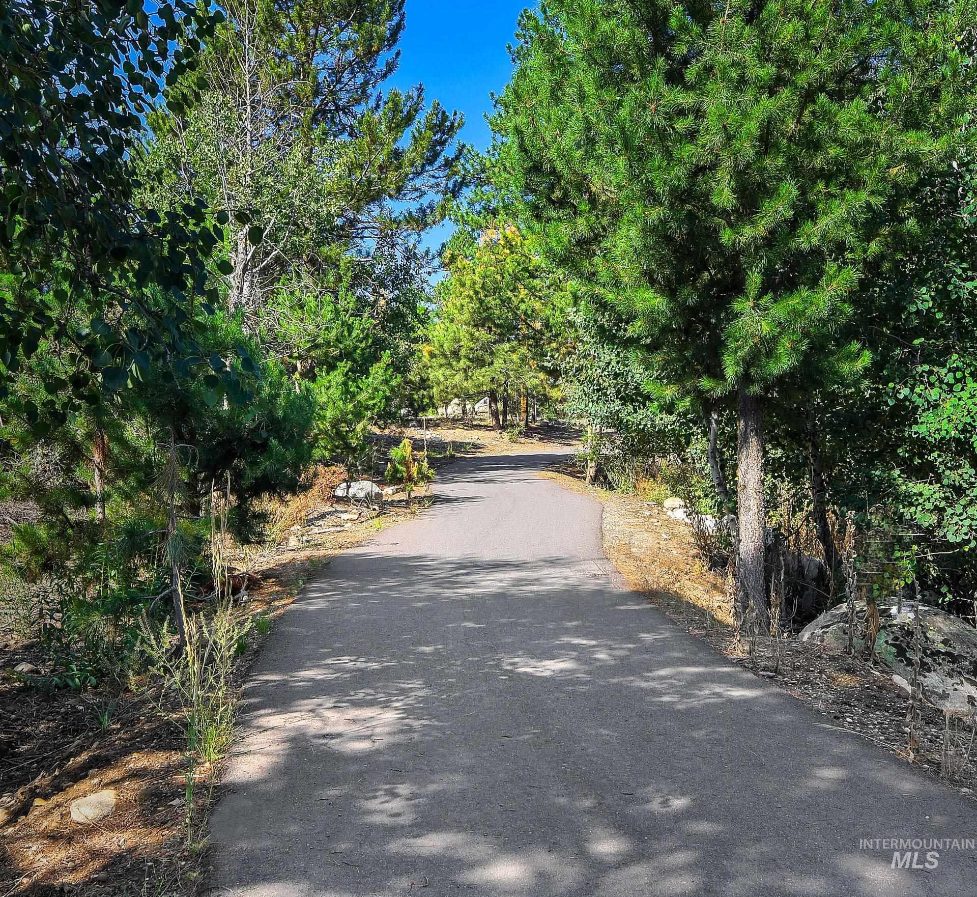 View of asphalt road