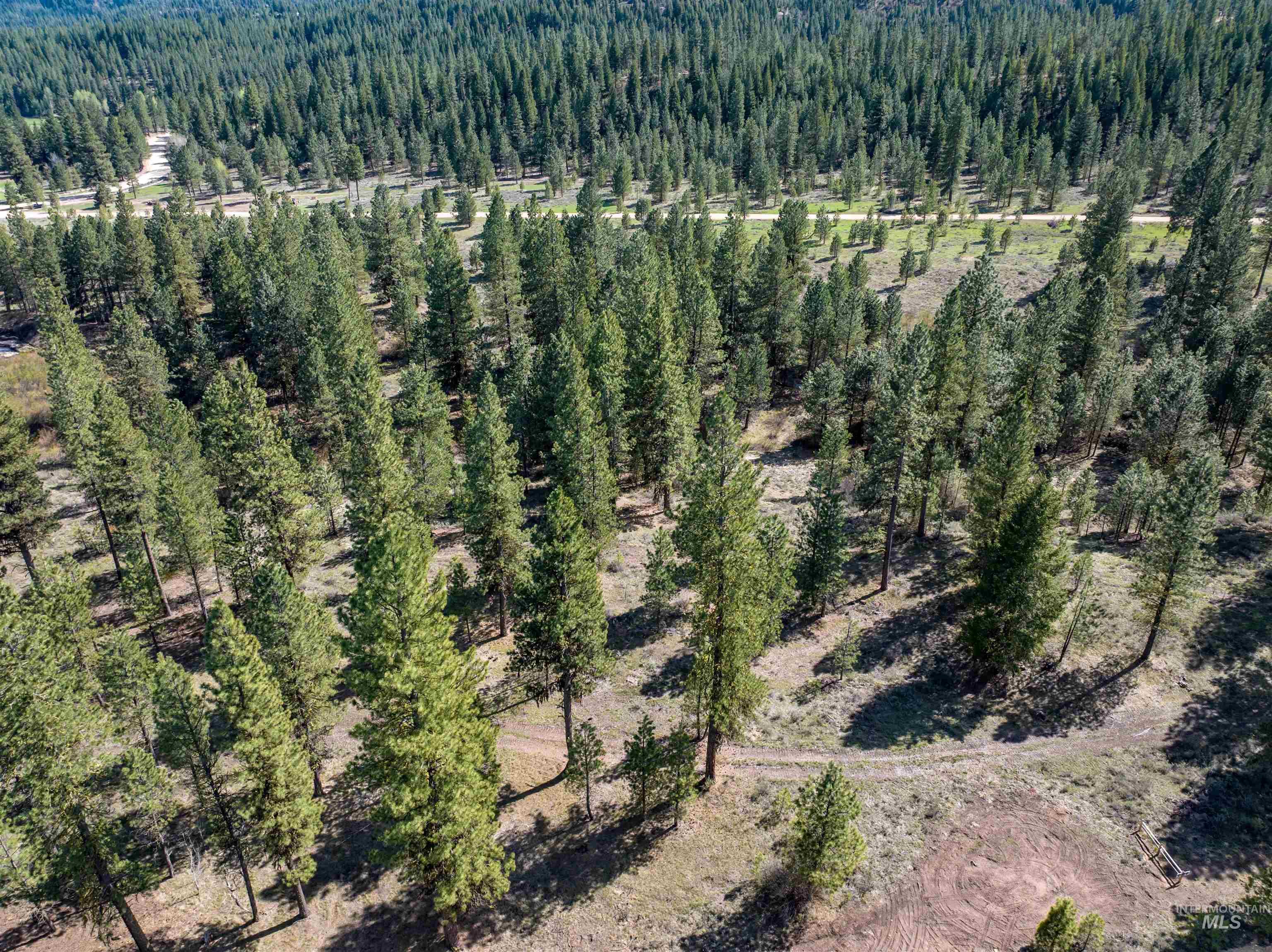 Drone / aerial view of a heavily wooded area