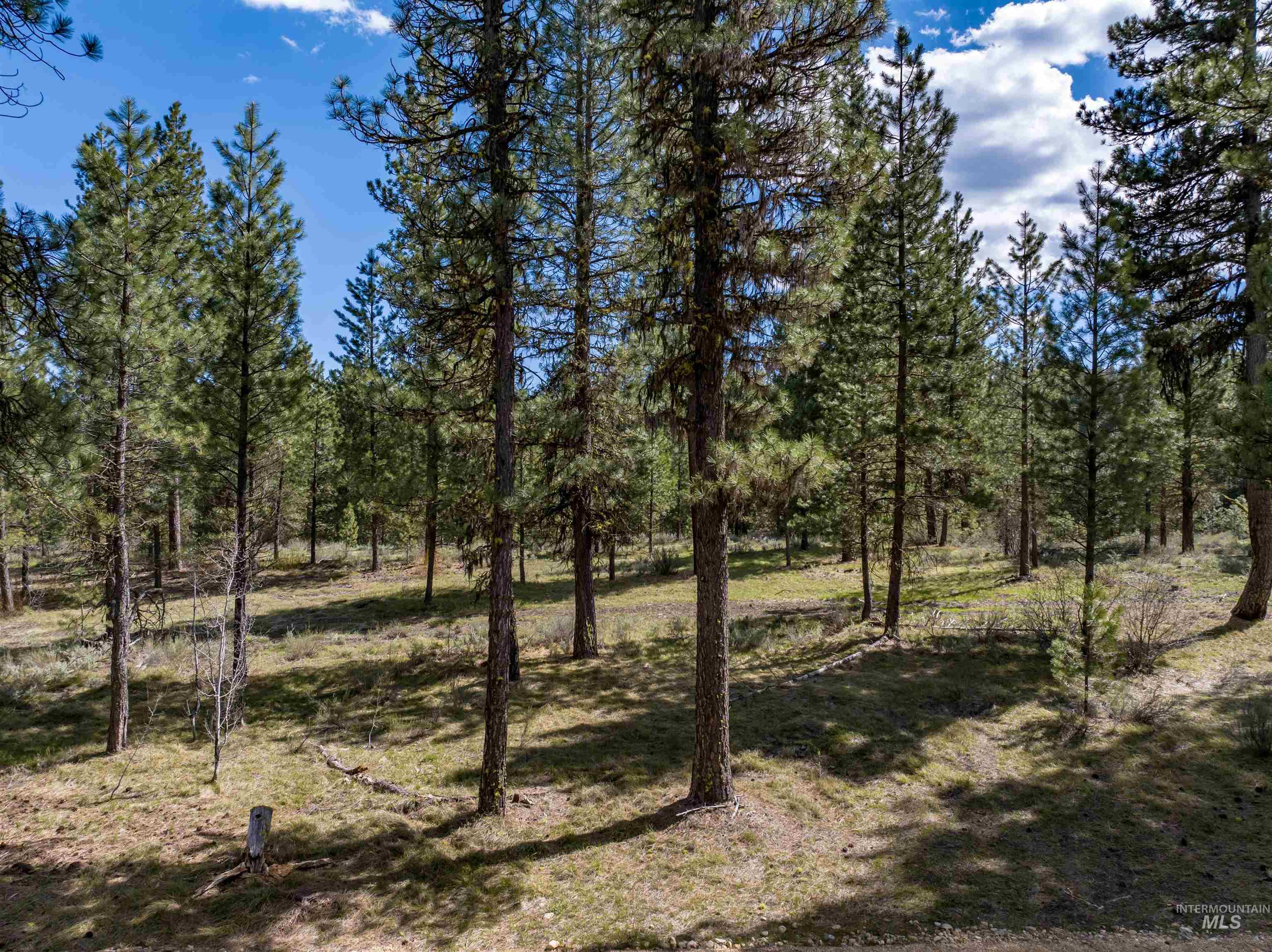 View of undeveloped land