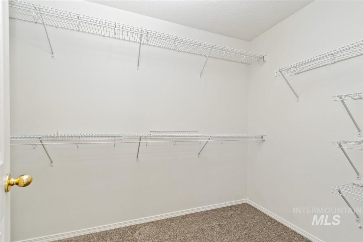 Spacious closet featuring dark carpet