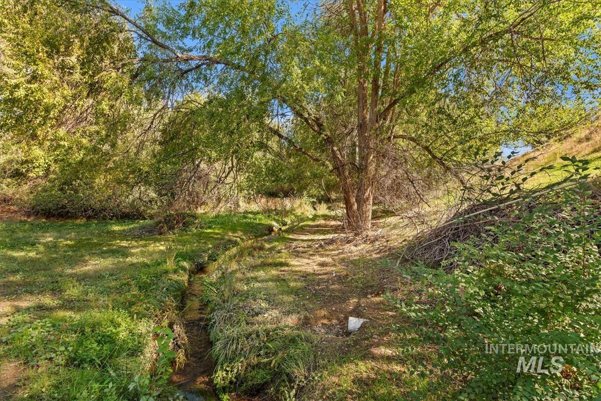 View of creek in the wooded terrain