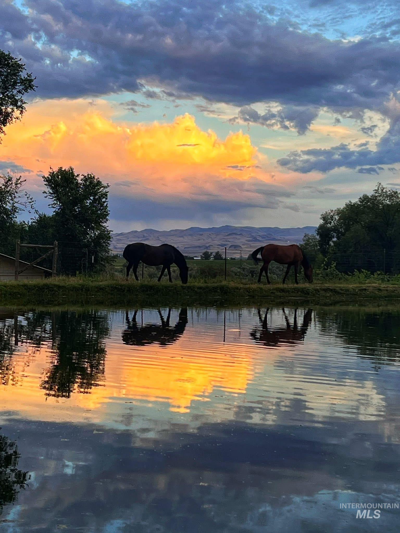 View from the pond at Sunset
