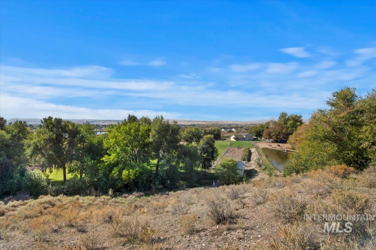 View of the property, house and pond from the hillside