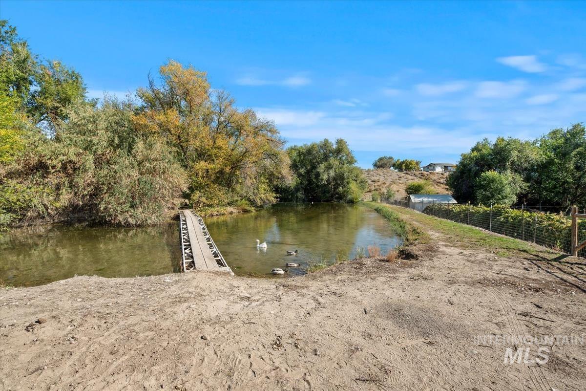 Pond with a bridge to the island