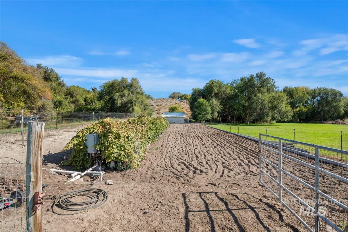 Fully irrigated garden space with grape vines