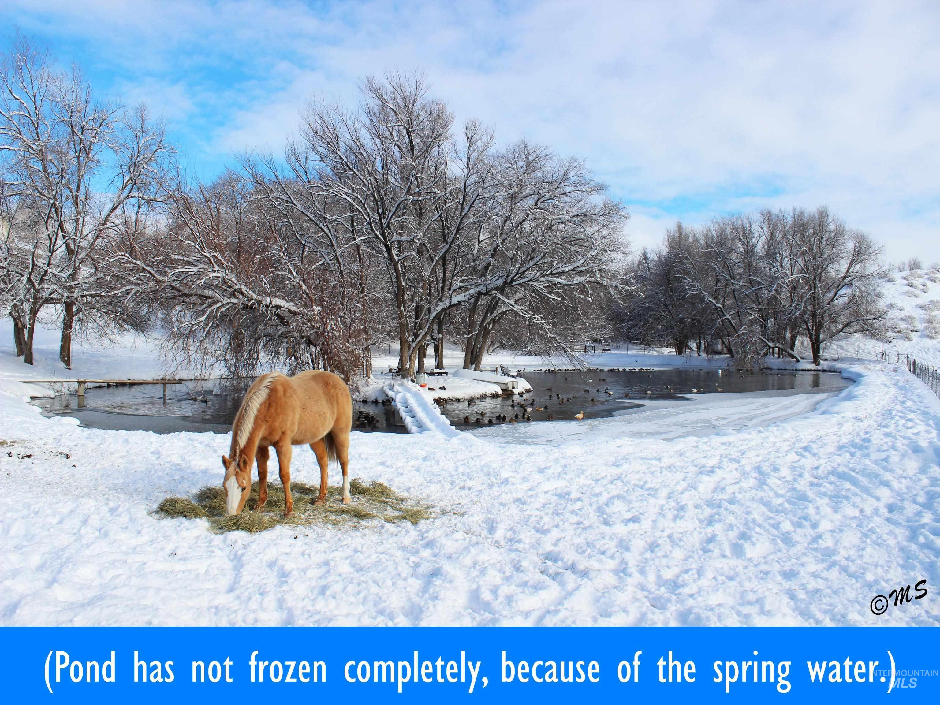 View of the Private Pond in Winter