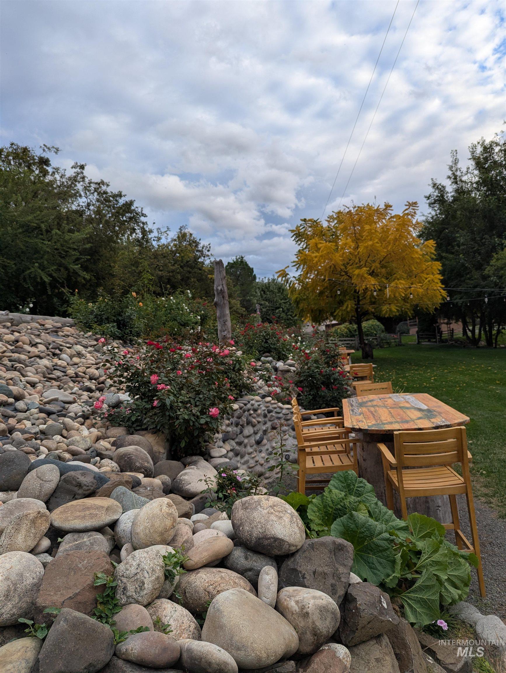 View of yard with view of wooded area
