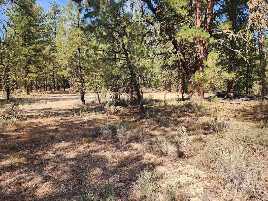 4128 N Diamond Bar Place