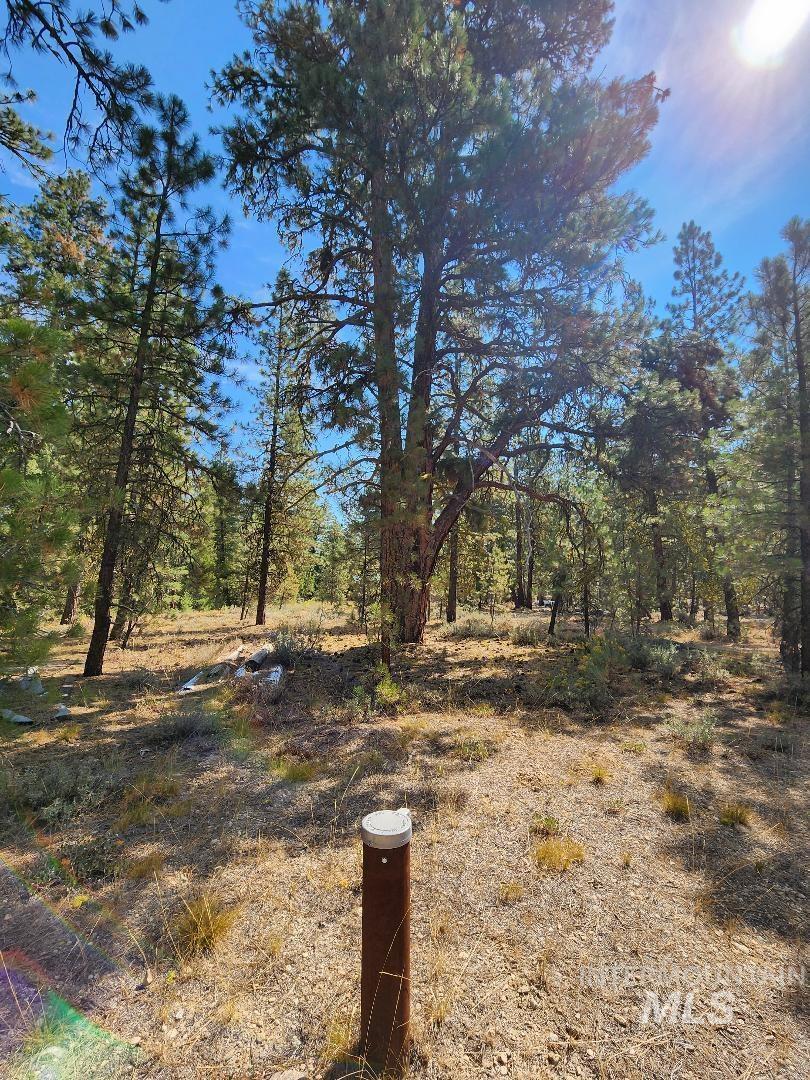 4128 N Diamond Bar Place