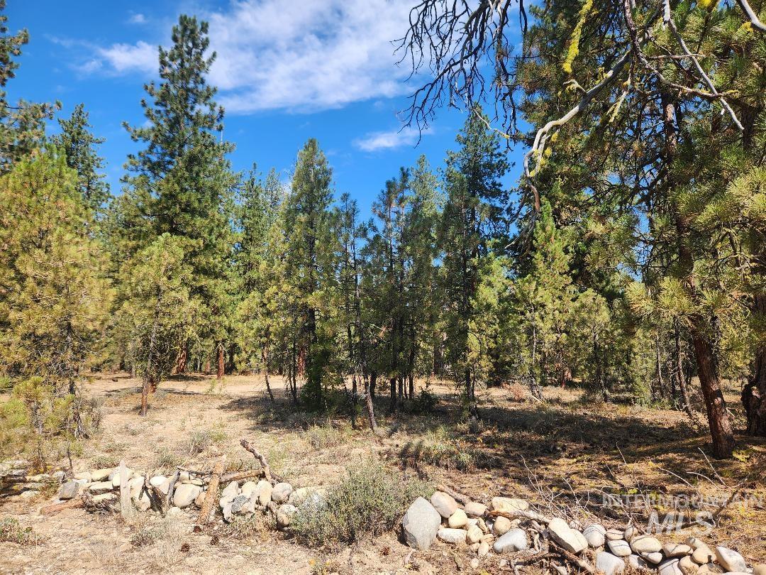 4128 N Diamond Bar Place